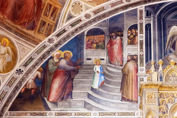Πάδοβα Ιταλία Απριλίου 2023 Παρουσίαση Της Θεοτόκου Από Αρχαίο Βαπτιστήριο — Φωτογραφία Αρχείου