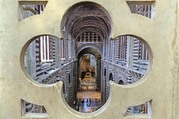 Magnificence Siena Cathedral — Stock Photo, Image