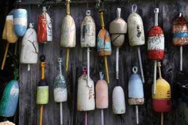 Duvarda ıstakoz şamandıraları asılı.