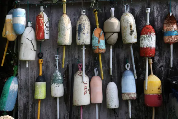 Duvarda ıstakoz şamandıraları asılı.