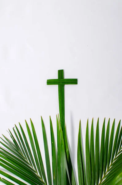 Beyaz arka planda palmiye yaprakları. Fotokopi alanı olan beyaz bir arka planda yeşil palmiye yaprakları yığını. Palm Sunday selamlama illüstrasyonu için tasarlandı. Palm Sunday için Çizim