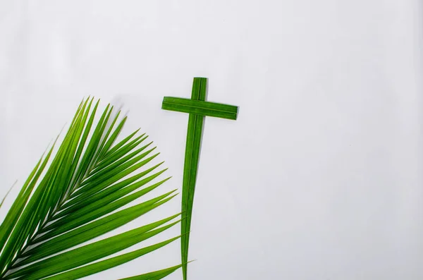 Beyaz arka planda palmiye yaprakları. Fotokopi alanı olan beyaz bir arka planda yeşil palmiye yaprakları yığını. Palm Sunday selamlama illüstrasyonu için tasarlandı. Palm Sunday için Çizim