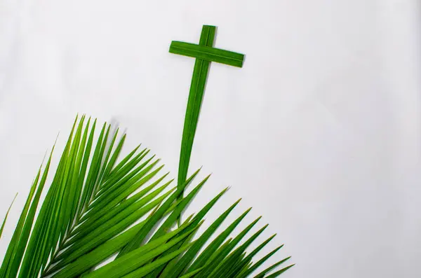 Beyaz arka planda palmiye yaprakları. Fotokopi alanı olan beyaz bir arka planda yeşil palmiye yaprakları yığını. Palm Sunday selamlama illüstrasyonu için tasarlandı. Palm Sunday için Çizim
