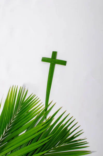 Beyaz arka planda palmiye yaprakları. Fotokopi alanı olan beyaz bir arka planda yeşil palmiye yaprakları yığını. Palm Sunday selamlama illüstrasyonu için tasarlandı. Palm Sunday için Çizim
