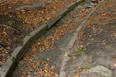 Dökülen sonbahar yapraklarıyla dolu eski bir beton su yalağı.