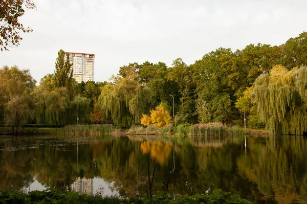 平静的森林湖水映衬着秋天的森林 远方隐隐约约隐约露出一座孤寂的城市房屋 — 图库照片