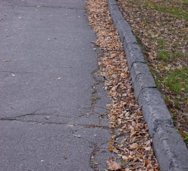 Kaldırımlar, kaldırımlar ve çimenler sonbahar yapraklarıyla kaplıdır.