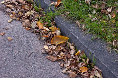 Kaldırımlar, kaldırımlar ve çimenler sonbahar yapraklarıyla kaplıdır.