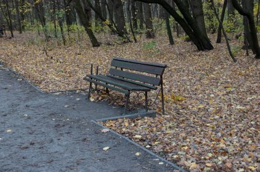 Autumn landscape: a park bench next to the path, fallen leaves on the ground