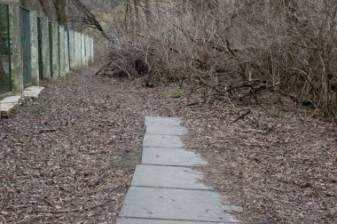 Döşeme döşeli patika, düşen sonbahar yaprakları arasında kırılıyor. Kenarlara kadar uzanan eski bir çit.