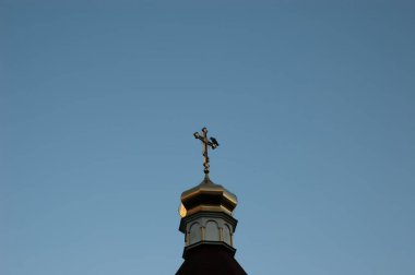 Bir karga kilise haçında oturur.