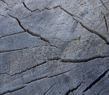 Eski bir tahta parçası, makro bir fotoğraf.