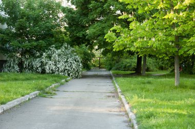 Bir asfalt yol kapalı bir kapıya doğru gidiyor. Yeşil çimenler, çiçekli kestane ağaçları ve çalılar kenarlarda..