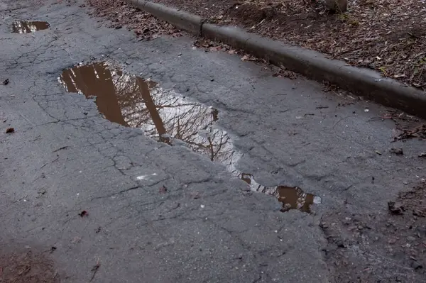 Ağaçların çıplak siyah dalları su birikintisine yansıdı.