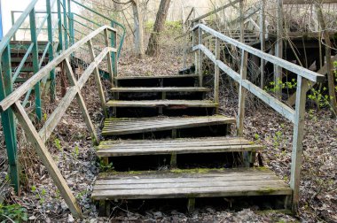 Aşağıdan görünen çürüyen ahşap merdivenler, bazı basamaklarda yeşil yosun parçaları. Yanında soluk yeşil boya izleri olan paslı metal bir merdiven var. Bahar büyümesi düşen yapraklar arasında taze çimen filizlenir ve genç yeşil yapraklar
