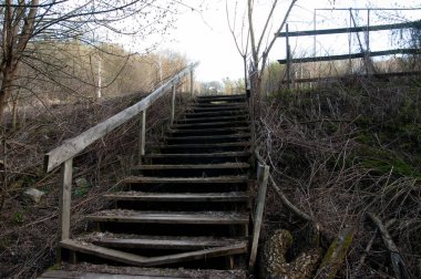  Aşağıdan görünen eski ahşap merdiven kısmen çökmüş ve yaşla yıpranmış. Üssün etrafında düşen dallar ve ağaç enkazı var. Erken bahar büyümesi gözle görülür taze yeşil çimen ve geçen yılki fal arasında genç yapraklar görünmeye başlıyor