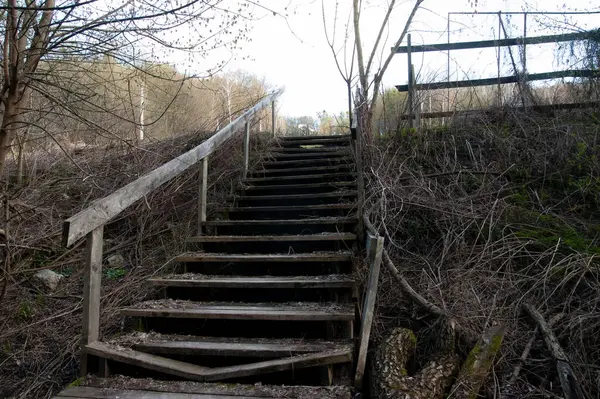  Aşağıdan görünen eski ahşap merdiven kısmen çökmüş ve yaşla yıpranmış. Üssün etrafında düşen dallar ve ağaç enkazı var. Erken bahar büyümesi gözle görülür taze yeşil çimen ve geçen yılki fal arasında genç yapraklar görünmeye başlıyor