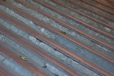 Eski granit ve beton merdivenler bir açıyla çekilip çapraz bir kompozisyon oluşturuyor. Aşınmış, parçalanmış basamaklar, pürüzlü dokuya kontrastlık ekleyerek, birkaç küçük yeşil yapraklı dal tutuyor..