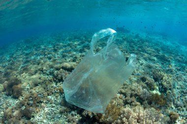 Bir plastik torba Endonezya 'da bir mercan resifinin üzerinde sürüklenir. Plastikler zararlı patojenleri taşıyabilir, böylece hastalık yayılabilir. Plastikler ayrıca mercanları boğabilir ya da boğabilir.. 