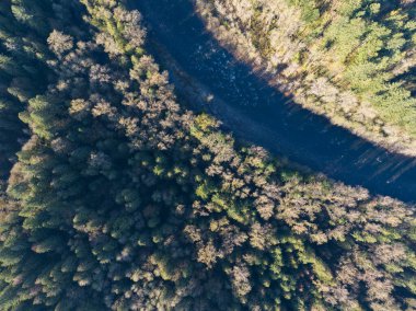 Hava görüntüsü Sandy Nehri 'nin Oregon' daki Hood Dağı yakınlarındaki sağlıklı bir ormandan aktığını gösteriyor. Ormanlar Amerika Birleşik Devletleri 'nin Kuzeybatı Pasifik boyunca geniş arazileri kaplar..