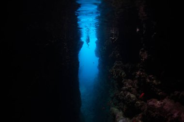Bir şnorkelçi, Solomon Adaları 'nda Leru Cut adlı derin ve karanlık bir mağarayı keşfeder. Bu güzel, biyolojik çeşitliliğe sahip bölge şnorkelle yüzmek ve dalış yapmak için popüler..