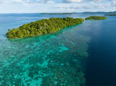 Bereketli, tropik adalar Solomon Adaları 'ndaki güçlü mercan resifleri tarafından çevrelenir. Bu güzel ülke muhteşem deniz biyolojik çeşitliliğine ve 2. Dünya Savaşı 'na ev sahipliği yapıyor..