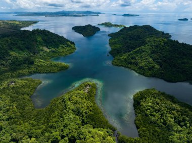 Extensive coral reefs fringe rainforest-covered islands in the Solomon Islands. This beautiful country is home to spectacular marine biodiversity and many historic WWII sites.