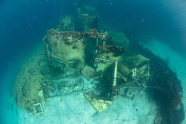 The remnants of a small shipwreck litter the seafloor in a bay found in the Solomon Islands. Shipwrecks often form artificial reefs, attracting many species of fish and invertebrates.