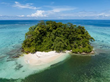 Seagrass, sand, and reef surround an idyllic tropical island in the South Pacific. This region is home to many beautiful islands and high marine and terrestrial biodiversity.