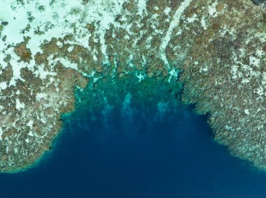 Seen from a bird's eye view, a healthy coral reef thrives in the Solomon Islands. This beautiful country is home to spectacular marine biodiversity and many historic WWII sites.