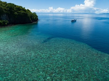 Seen from a bird's eye view, a healthy coral reef thrives in the Solomon Islands. This beautiful country is home to spectacular marine biodiversity and many historic WWII sites.