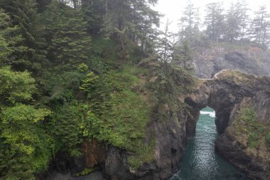 Pasifik Okyanusu, Brookings yakınlarında Güney Oregon 'un kayalık kıyı şeridine karşı kıyıya vurur. Kuzeybatı Pasifik 'in bu kısmı engebeli orman ve okyanus manzaralarıyla bilinir..