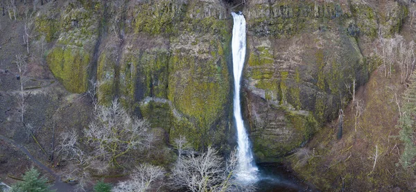 美丽的马尾瀑布座落在哥伦比亚河峡谷的俄勒冈州一侧 这个壮观的自然奇观和许多其他瀑布一样 离波特兰以东只有30分钟车程 — 图库照片