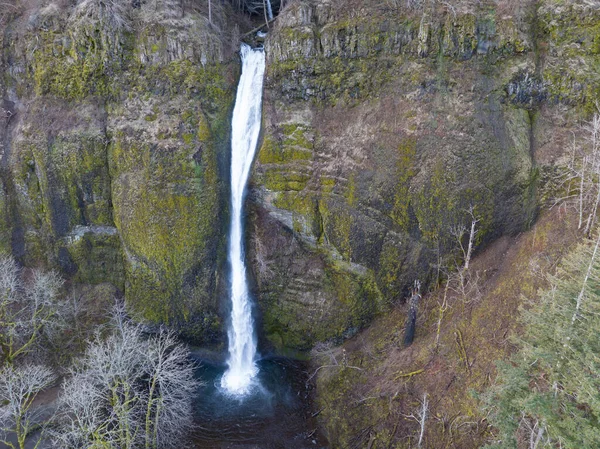 Красивый Конный Водопад Расположен Орегонской Стороне Ущелья Реки Колумбия Великолепное — стоковое фото