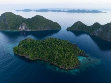 Raja Ampat 'ın deniz manzarasından yükselen dramatik kireçtaşı adalarını çevreleyen güzel mercan resifleri. Endonezya 'nın bu uzak bölgesi inanılmaz deniz biyolojik çeşitliliğiyle bilinir..