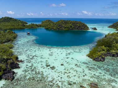 Raja Ampat 'ın deniz manzarasından yükselen dramatik kireçtaşı adalarını çevreleyen güzel mercan resifleri. Endonezya 'nın bu uzak bölgesi inanılmaz deniz biyolojik çeşitliliğiyle bilinir..