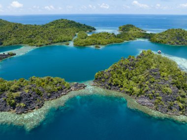 Raja Ampat 'ın deniz manzarasından yükselen dramatik kireçtaşı adalarını çevreleyen güzel mercan resifleri. Endonezya 'nın bu uzak bölgesi inanılmaz deniz biyolojik çeşitliliğiyle bilinir..