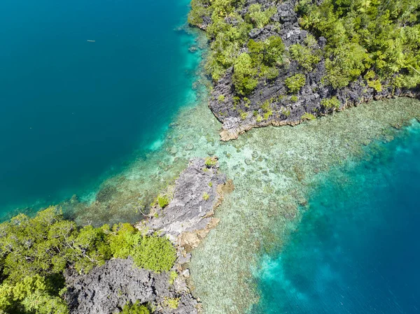 아름다운 산호초들 이라자암 바트의 풍경에서 오르는 석회암 섬들을 둘러싸고 인도네시아의 — 스톡 사진
