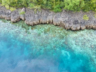 Mercan resifleri, Raja Ampat 'ın güzel deniz manzarasından yükselen dramatik kireçtaşı adalarını çevrelemektedir. Endonezya 'nın bu uzak bölgesi inanılmaz deniz biyolojik çeşitliliğiyle bilinir..