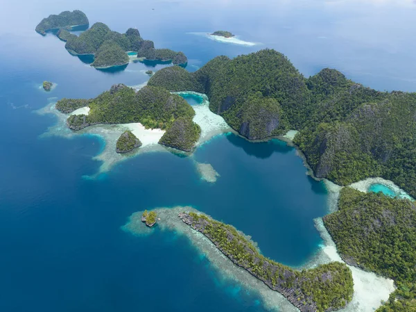 아름다운 산호초들 이라자암 바트의 풍경에서 오르는 석회암 섬들을 둘러싸고 인도네시아의 — 스톡 사진