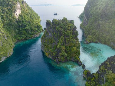 Sağlıklı uçan mercan resifleri, Raja Ampat 'ın deniz manzarasından yükselen dramatik kireçtaşı adalarının etrafında yetişir. Endonezya 'nın bu uzak bölgesi inanılmaz yüksek deniz biyolojik çeşitliliğiyle bilinir..