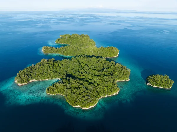 Los Arrecifes Coral Flecos Sanos Crecen Alrededor Las Hermosas Islas — Foto de Stock