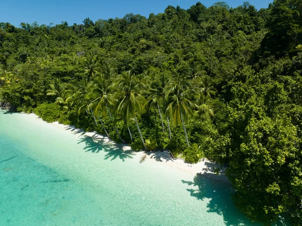 Пальмы Растут Вдоль Живописного Тропического Пляжа Побережья Западного Папуа Индонезия — стоковое фото