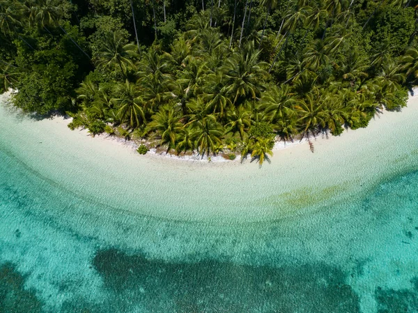 Palmbomen Groeien Langs Een Schilderachtig Tropisch Strand Voor Kust Van — Stockfoto