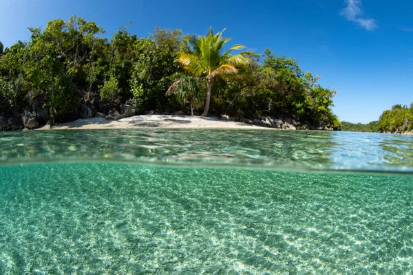Чиста Тепла Вода Купається Віддаленому Тропічному Острові Біля Узбережжя Західного — стокове фото