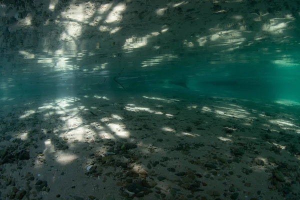Sunlight Filtering Rainforest Mixes Shadows Shallow Sandy Seafloor West Papua — Stock Photo, Image