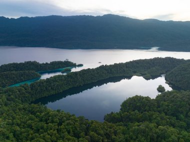 Batı Papua 'nın deniz manzarasından yükselen güzel kireçtaşı adalarında büyük bir deniz gölü bulunur. Deniz gölleri genellikle deniz yaşamını barındıran tuzlu su ekosistemleridir..