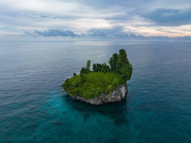 Bitkilerle kaplı yalnız bir kireçtaşı adası Batı Papua 'nın deniz manzarasından yükseliyor. Endonezya 'nın bu uzak bölgesi inanılmaz yüksek deniz biyolojik çeşitliliğiyle bilinir..