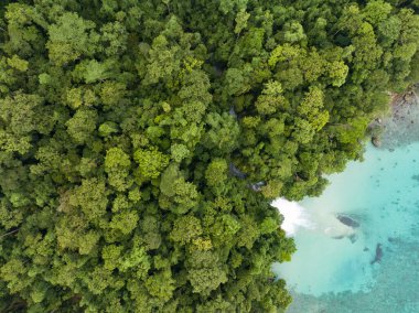 İnanılmaz bir şelale yağmur ormanlarından çıkıp Endonezya 'nın Batı Papua kıyısındaki okyanusa düşüyor. Momon yakınlarındaki bu güzel bölge olağanüstü bir karasal ve deniz biyolojik çeşitliliği barındırıyor..