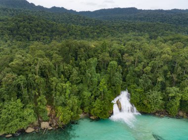İnanılmaz bir şelale yağmur ormanlarından çıkıp Endonezya 'nın Batı Papua kıyısındaki okyanusa düşüyor. Momon yakınlarındaki bu güzel bölge olağanüstü bir karasal ve deniz biyolojik çeşitliliği barındırıyor..